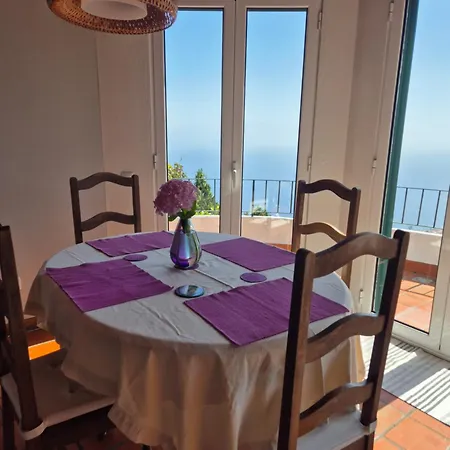 Charmoso No Funchal, Com Grande Jardim E Vista Esplêndida Appartement *