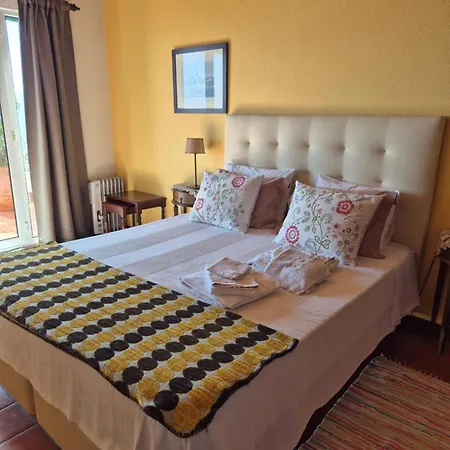 Charmoso No Funchal, Com Grande Jardim E Vista Esplendida Apartamento