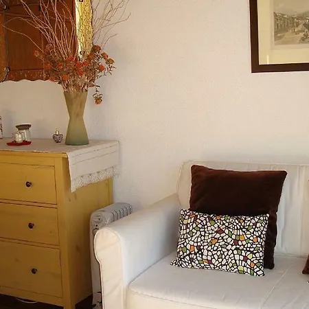 Charmoso No Funchal, Com Grande Jardim E Vista Esplendida *