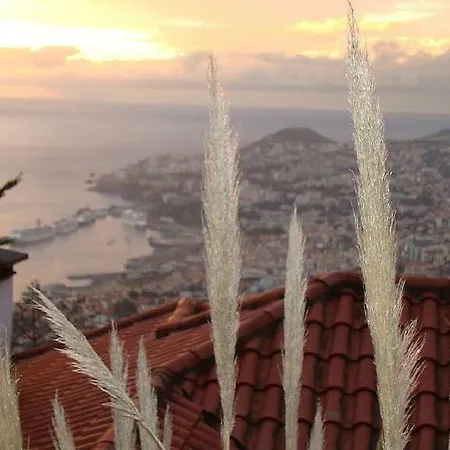 Charmoso No Funchal, Com Grande Jardim E Vista Esplêndida *