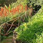 Charmoso No Funchal, Com Grande Jardim E Vista Esplendida Διαμέρισμα