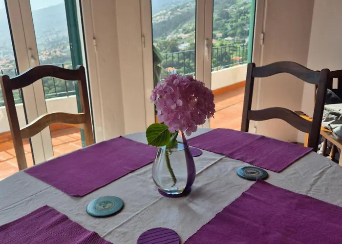 Charmoso No Funchal, Com Grande Jardim E Vista Esplêndida Appartement *