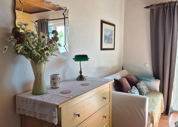 Charmoso No Funchal, Com Grande Jardim E Vista Esplêndida Appartement *