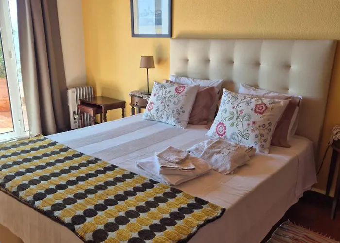 Charmoso No Funchal, Com Grande Jardim E Vista Esplêndida Appartement