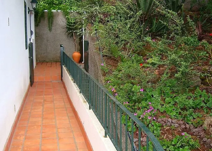 Appartement Charmoso No Funchal, Com Grande Jardim E Vista Esplêndida