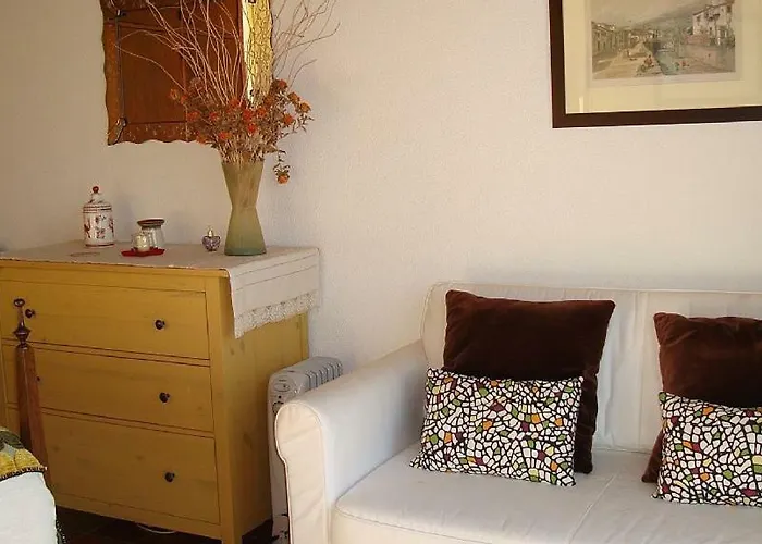 Charmoso No Funchal, Com Grande Jardim E Vista Esplêndida *