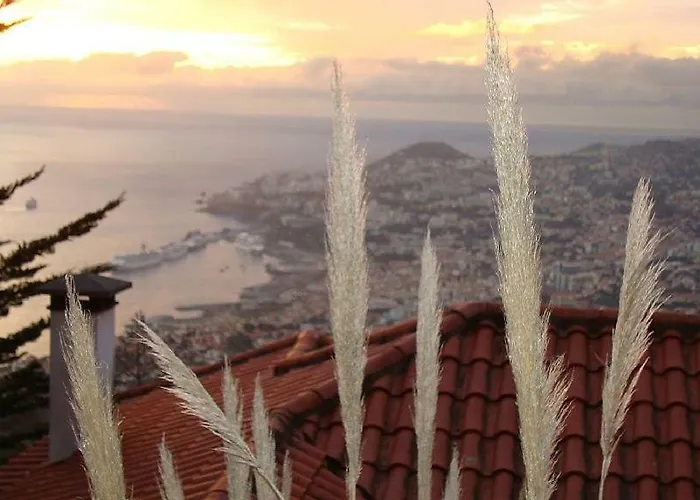 Charmoso No Funchal, Com Grande Jardim E Vista Esplêndida *