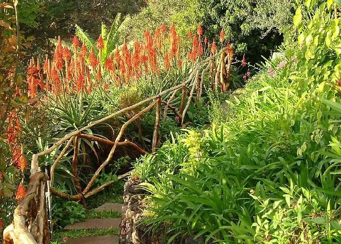 Charmoso No Funchal, Com Grande Jardim E Vista Esplêndida Appartement