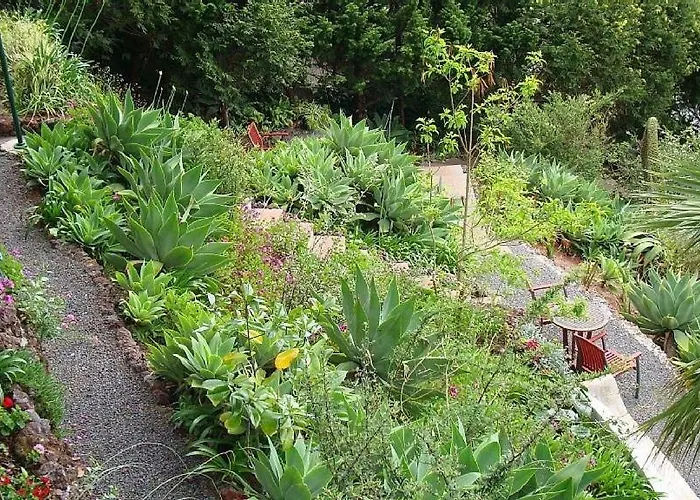 Appartement Charmoso No Funchal, Com Grande Jardim E Vista Esplêndida