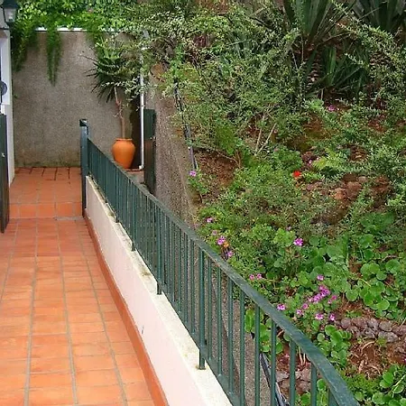 Daire Charmoso No Funchal, Com Grande Jardim E Vista Esplendida