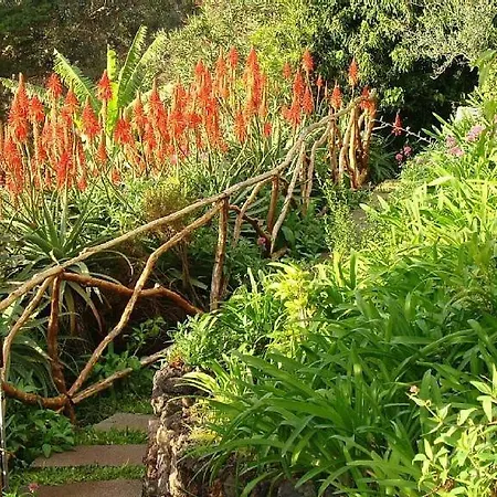 Charmoso No Funchal, Com Grande Jardim E Vista Esplendida Daire