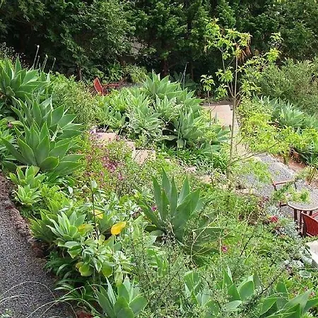 Daire Charmoso No Funchal, Com Grande Jardim E Vista Esplendida